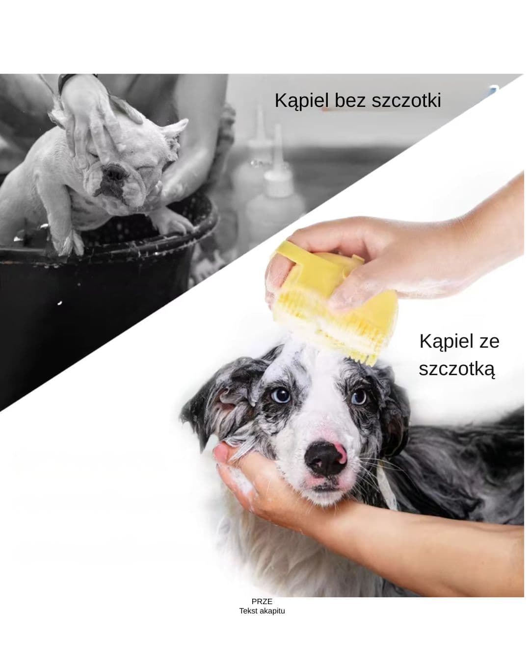 Szczotka do kapieli z dozownikiem szamponu dla psa i kota